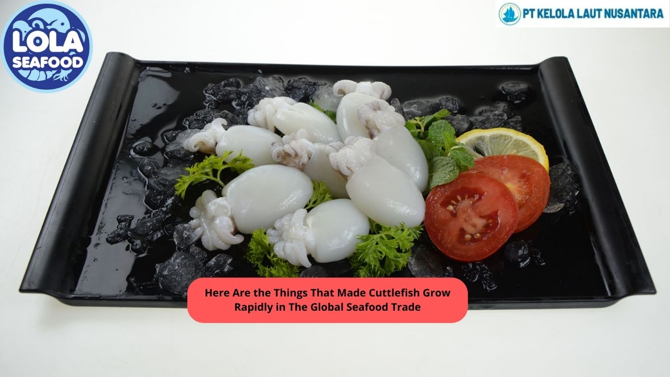 Here Are the Things That Made Cuttlefish Grow Rapidly in The Global Seafood Trade